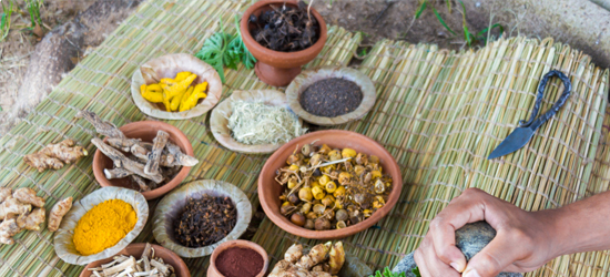 ayurvedic healing